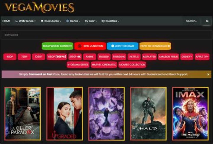 Exploring Vegamovies.org.in: What You Should Know About Streaming Movies