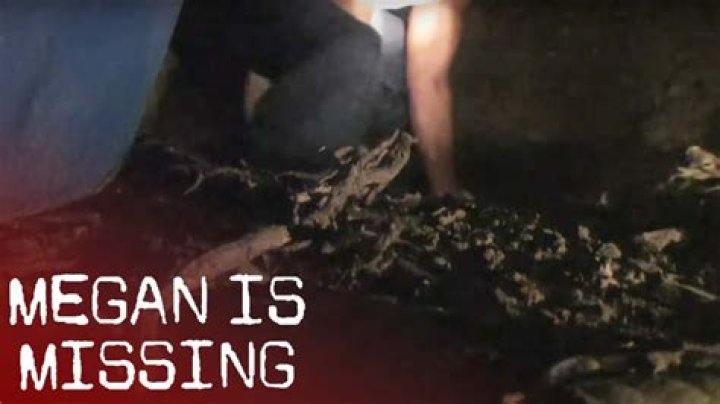 M3GAN: Unpacking the Mystery of "Megan JS Missing Photo 1 and 2" and What's Next