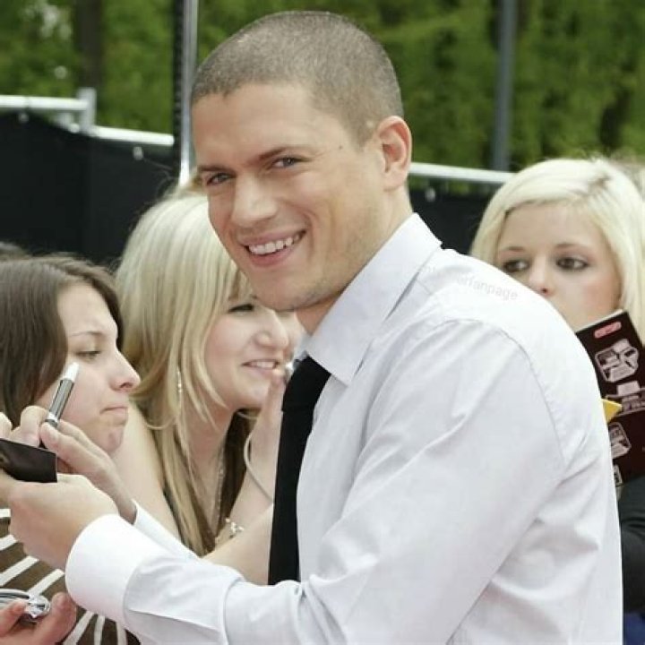 Wentworth Miller: Is He Married? Unpacking the Actor's Personal Life