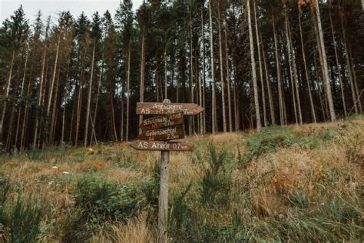 Why Pining for Kim Trailblazer is Captivating Audiences Right Now